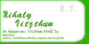 mihaly vitzthum business card